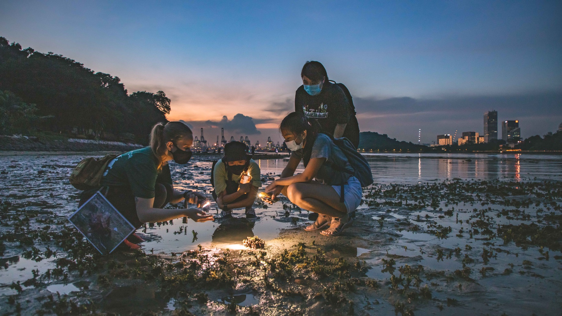 Sentosa Intertidal Exploration | SentoSights