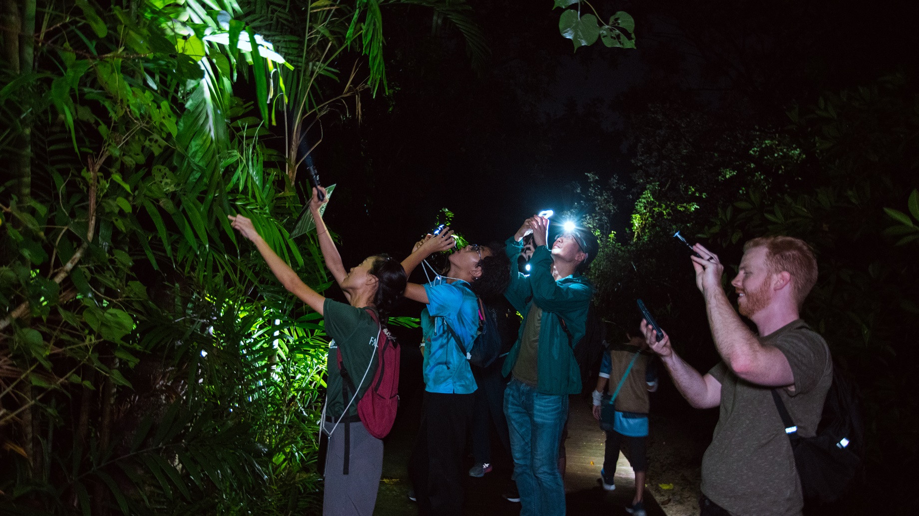 Sentosa Naturalist Night Adventure | SentoSights